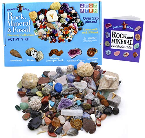 DANCING BEAR Rock, Mineral & Fossil Collection Activity Kit (125+ pcs and NO GRAVEL) 2 Geodes, Ammonite, Shark Tooth in Matrix, Fossilized Poo, Arrowheads, ID Sheet & Rock book, STEM Science Education