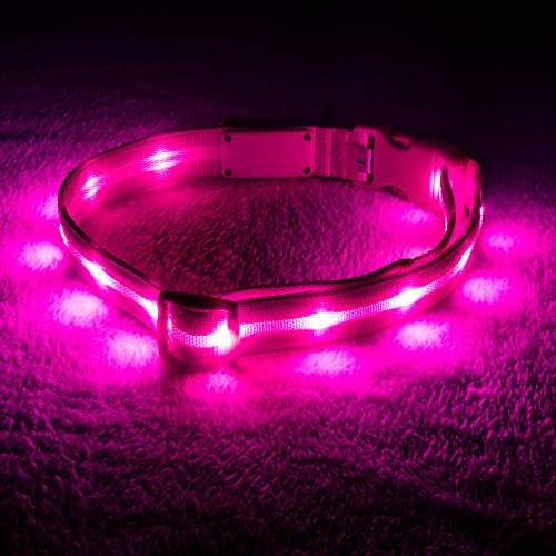 Blazin Brightest Light Up Dog Collars - The Original LED Dog Collar with 1,000 Feet of Visibility - USB Rechargeable Waterproof Dog Collar Light - Dog Lights for Night Walking - USA Brand
