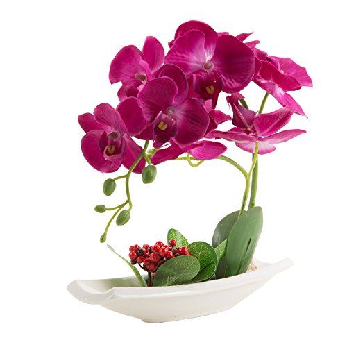 Phaleanopsis Orchid in Vase Silk Flower Arrangement Decoration (Magenta)