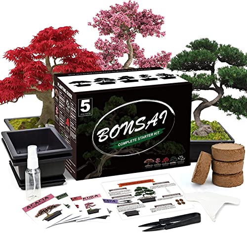 Meekear 5 Bonsai Tree Kit Complete Plant Growing Tools, Grow in Pot Indoor Bonsai Tree Starter Kit, Great Home Gardening Potted Plants DIY Gift for Adults