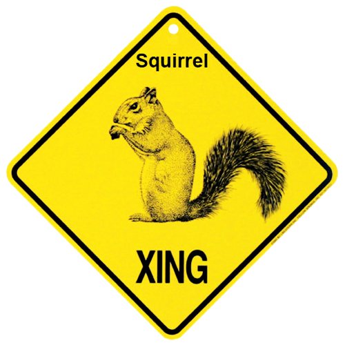 KC Creations Squirrel Xing Caution Crossing Sign Wildlife Gift