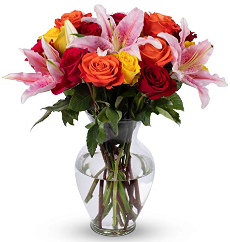 BENCHMARK BOUQUETS - Big Blooms (Glass Vase Included), Next-Day Delivery, Gift Fresh Flowers for Birthday, Anniversary, Get Well, Sympathy, Graduation, Congratulations, Thank You