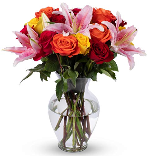 Benchmark Bouquets, Big Blooms, Glass Vase Included, Gift Fresh Flowers for Birthday, Anniversary, Get Well, Sympathy, Congratulations, Thank You, Just Because