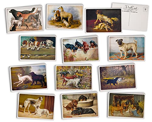 The Collab Lab Vintage Dog Postcards - 24 Vintage Postcards - 12 Assorted Puppy Retro Book Illustration Cards Printed on Antique Textured Style Cardstock