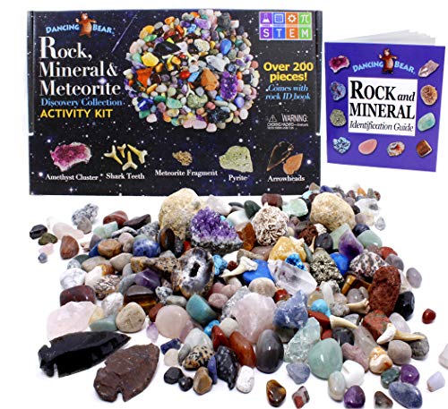 Dancing Bear Rock & Mineral Collection Activity Kit (200 Pc Set) with Meteorite, Real Shark Teeth Fossils, Arrowheads, Crystals, Gemstones, Treasure Hunt ID Sheet, STEM Science Education, Made in USA