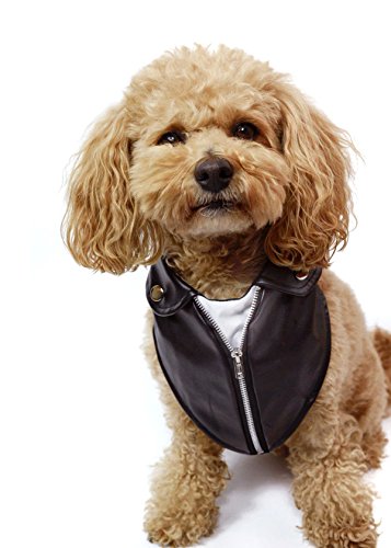 Tail Trends Motorcycle Leather Jacket Dog Bandana (L)