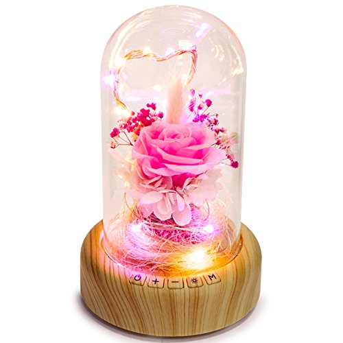 SWEETIME Pink Rose Night Light Preserved Rose in Glass Dome, Eternal Rose Flower Lamp, Forever Real Rose Musical Box Gift for Her on Mother's Day, Birthday, Valentine Day.