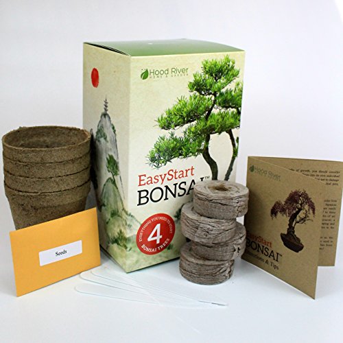 EasyStart Bonsai Kit - Everything Needed to Grow 4 Beautiful Bonsai Trees