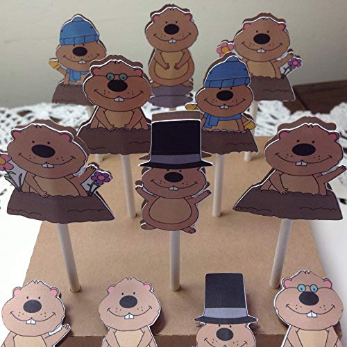 Groundhog Day Cupcake Toppers on lollipop stick set of 12