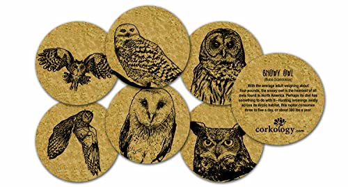 Corkology Owls Coaster Set, Cork
