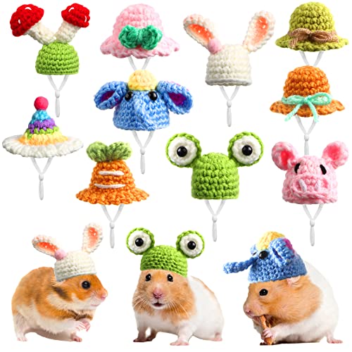 Kajaia 10 Pcs Hamster Hat Small Animals Cute Tiny Hat Mini Hand Knitted Hats for Snakes Pets Bearded Dragon Guinea Pig Bunny Costume Accessories Easter Holiday Parties(Fresh Style)