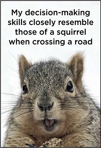 My Decision-making Skills Closely Resemble Those Of A Squirrel When Crossing the Road. funny fridge magnet (ep)