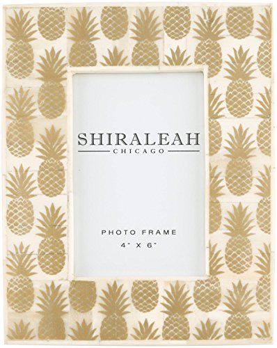 Shiraleah Pineapple 4X6 Picture Frame
