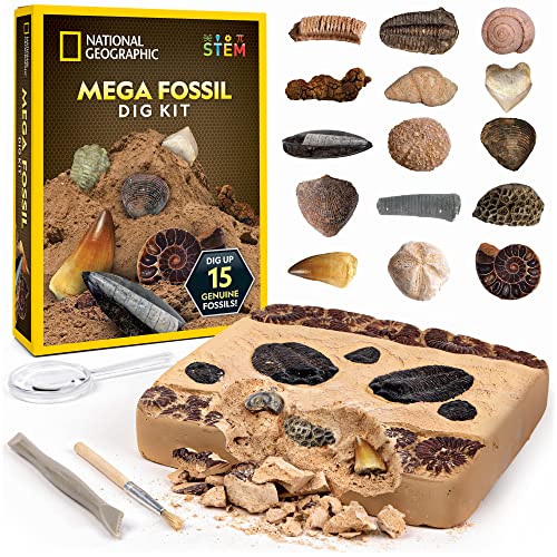 NATIONAL GEOGRAPHIC Mega Fossil Dig Kit - Excavate 15 Genuine Prehistoric Fossils, Kids Fossil Kit, Educational Toys, Great Science Kit Gift for Girls and Boys (Amazon Exclusive)