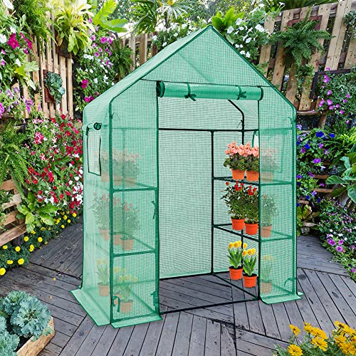 EAGLE PEAK Walk in 3 Tier Greenhouse with Wire Shelves, Portable 61'x28'x79' Indoor & Outdoor Vented Garden Green house with Roll-Up Zipper Door & 2 Roll Up Side Windows, Clear/Green PE Cover