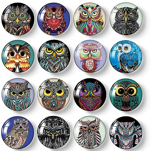 MORCART 16PCS Owl Magnets for Fridge, Cute Refrigerator Magnets for Locker Whiteboard Decorative Magnetic Board Cabinets Classroom Office Cubicle School (owl)