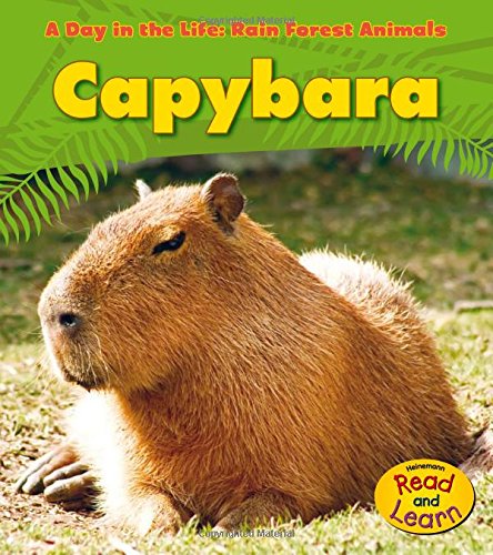 Capybara (A Day in the Life: Rain Forest Animals)