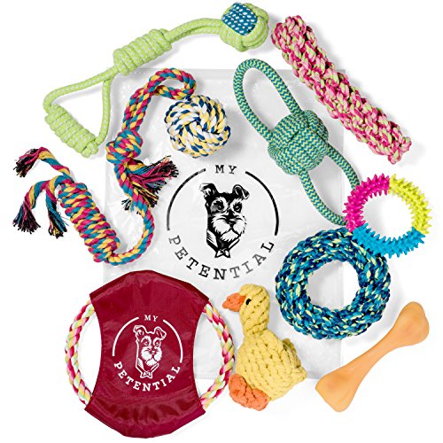 My Petential Dog Toy Gift Set (10 Pack) - Fun Rope, Rubber and Squeaky Pet Toy - Interactive Chew Toys for Happy Dogs - Good for Teething, Tug of War and Keeps them Busy