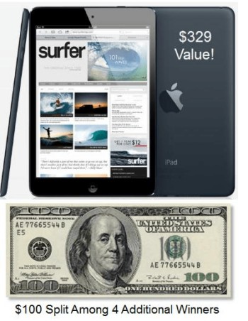 Giveaway - iPad Mini and Cash Prize!