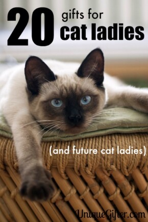 As a well known cat lady, I can tell you that any crazy cat lover will enjoy these gifts.