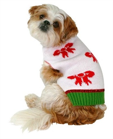 Pet Ugly Sweater with Bow - White Target - Google Chrome