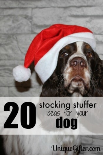 20 Stocking Stuffer Ideas for your Dog