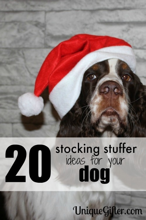 So cute! Number 4 is perfect.  Love these stocking stuffer ideas for dogs.