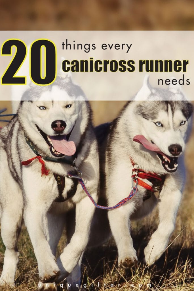 What is canicross? Running with your dog! Here's a list of 20 things every canicross runner needs. They make excellent birthday and Christmas gifts!