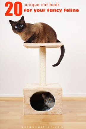 20 Unique Cat Beds for your Fancy Feline