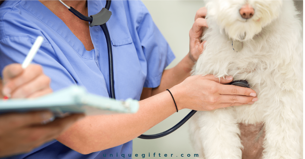 Gift Ideas for Veterinary Office Staff Unique Gifter