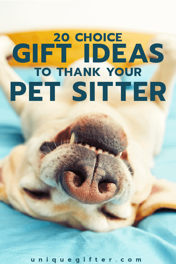 Thank You Gifts for Pet Sitters | Pet Sitting | Thank Yous | Appreciation | Dog Walker | Dog Walking | Christmas Presents