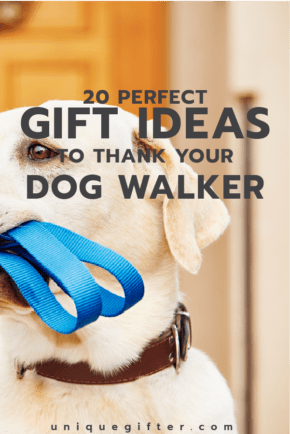 Christmas present shop for dog walker