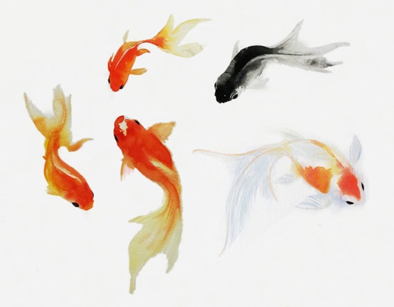 Goldfish waterercolor painting