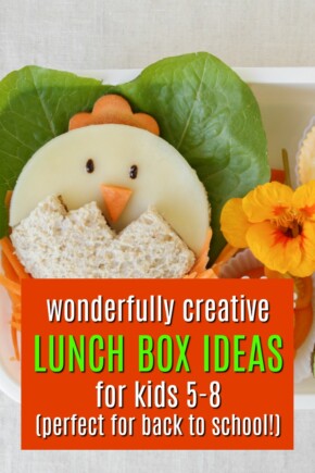 Fun lunch ideas for kids | Lunch box ideas for kids | How to make school fun | Back to School Ideas | Lunches with a twist