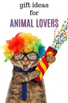 Gift Ideas for Animal Lovers | Birthday gifts for people who love animals | What to get a kid for Christmas who loves all animals | Future zoologist presents | Veterinary gifts | Vet tech gifts