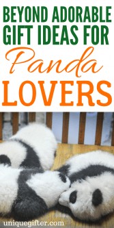 gift ideas for panda lovers | Birthday gifts for people who love Pandas | What to get for Christmas when someone is in love with Panda Bears | Creative presents with pandas