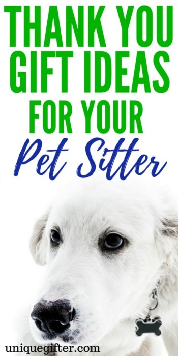 Thank you gift ideas for your pet sitter | What to get a dog sitter as a thank-you | Ways to thank a cat sitter | Creative Christmas presents for a dog walker