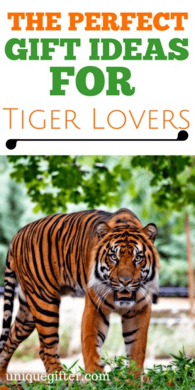 Tiger Lover Gift Ideas | Birthday Presents for Animal Lovers | What to buy someone obsessed with tigers | Christmas presents for my boyfriend | Anniversary Gift Ideas | Animal Lover gifts | Creative Presents | Tiger tails | Big Cats | For Him | For Her | Teen Gifts | Tween Gifts