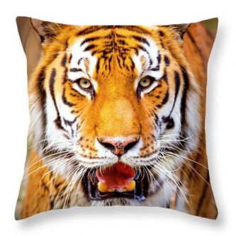 gift ideas for tiger lovers