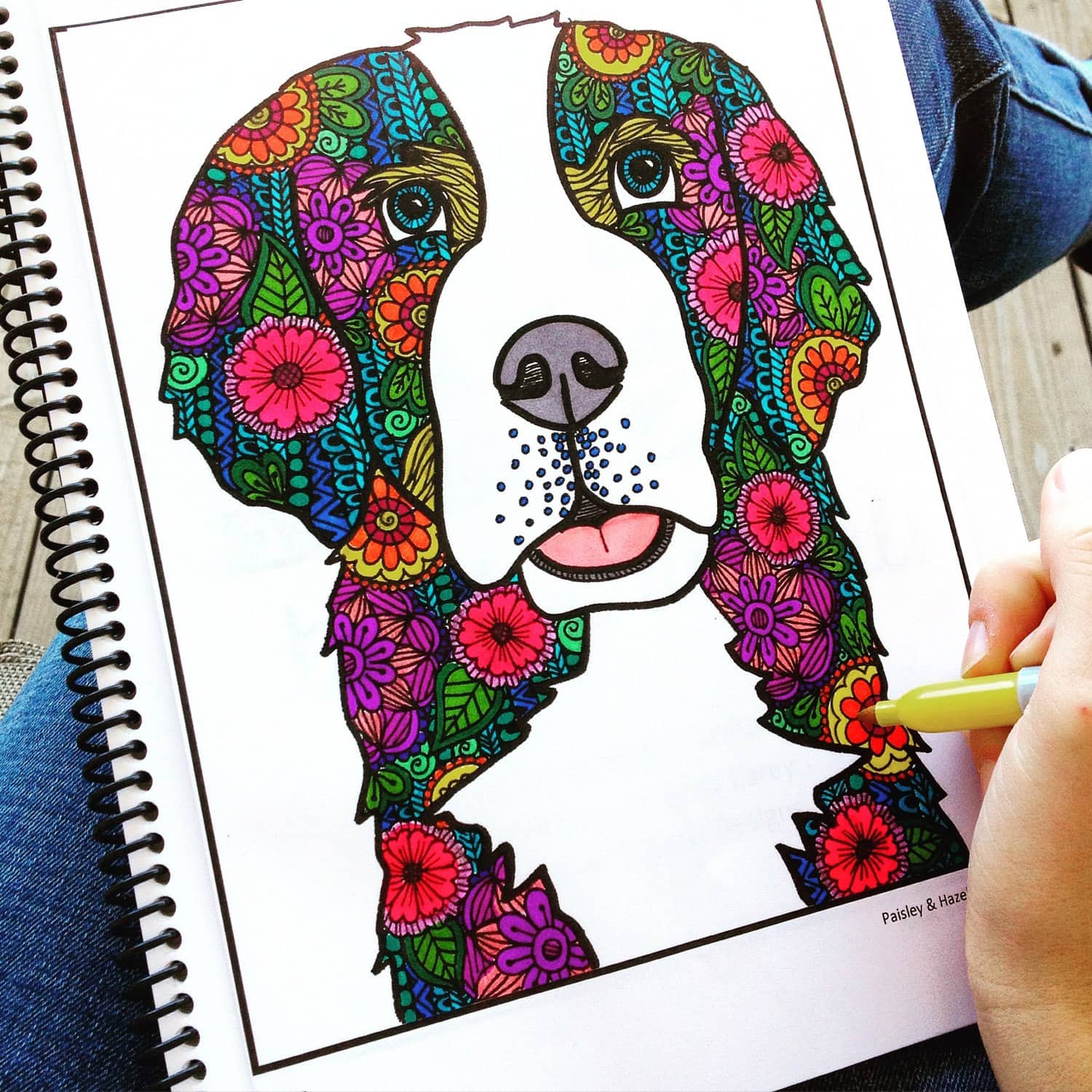 Adult coloring book