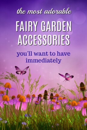 Fairy Garden Gift Ideas | Christmas Presents for Gardeners | Permaculture Fun | Gifts for Fairy Gardeners | Fairy Garden Tips | Mini Gardens