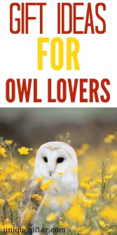 Gift Ideas for Owl Lovers | Owl Clothing | Owl Jewelry | Owl Gifts for Teachers | Owl Gifts for Kids | Owl Gift Baskets | Owl Christmas Presents | Owl's Mother Day | Owl's Father's Day | Fun Owl Gifts | Awesome Gifts for Owl Lovers | Owl Books | Owl Prints | What to Buy for People Who Love Owls | The Best Owl Gifts | Gift Ideas | Gifts | Presents | Birthday | Christmas