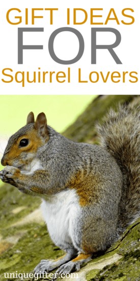 Gift Ideas for Squirrel Lovers | Squirrel Clothing | Squirrel Jewelry | Squirrel Gifts for Teachers | Squirrel Gifts for Kids | Squirrel Gift Baskets | Squirrel Christmas Presents | Squirrel Mother Day | Squirrel Father's Day | Fun Squirrel Gifts | Awesome Gifts for Squirrel Lovers | Squirrel Books | Squirrel Prints | What to Buy for People Who Love Squirrels | The Best Squirrel Gifts | Gift Ideas | Gifts | Presents | Birthday | Christmas