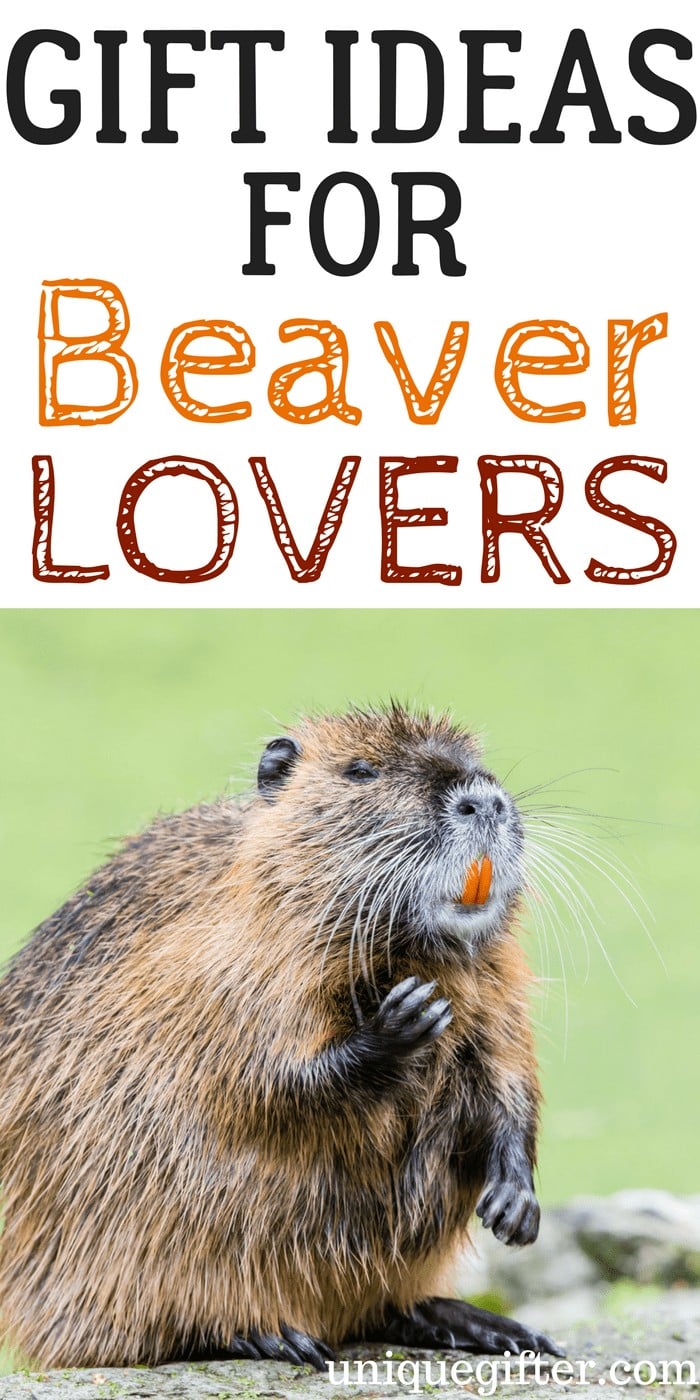 20 Gift Ideas for Beaver Lovers