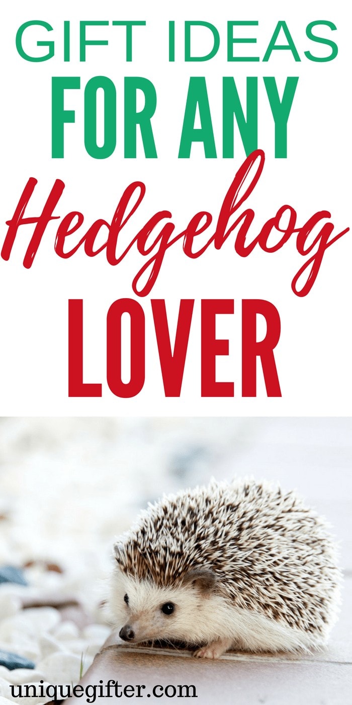 20 Gift Ideas for Hedgehog Lovers Unique Gifter