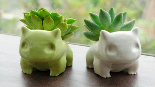 Cute succulent planter gift ideas for mentors