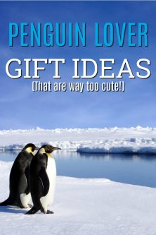 Gifts for Penguin Lovers | Unusual Penguin Gifts | Penguin Gifts for Boyfriend | Penguin Gifts for Her | Fun Christmas Gifts | Unique Birthday Gifts