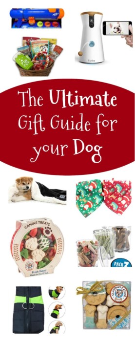 Ultimate Gift Guide for Your Dog