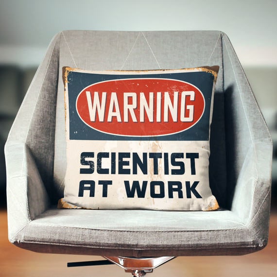 Scientist at work pillow