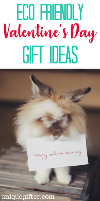 Eco-Friendly valentine's day gift ideas | Valentine's day ideas that are good for the planet | green gifts | valentine's day presents for minimalists | V-Day gifts